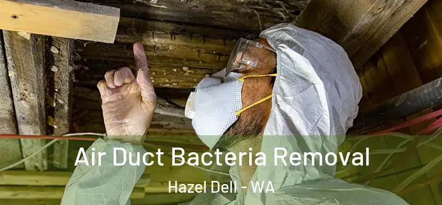 Air Duct Bacteria Removal Hazel Dell - WA