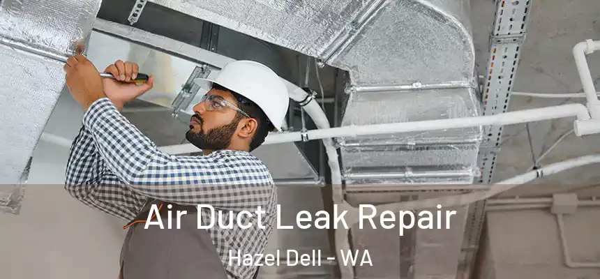  Air Duct Leak Repair Hazel Dell - WA