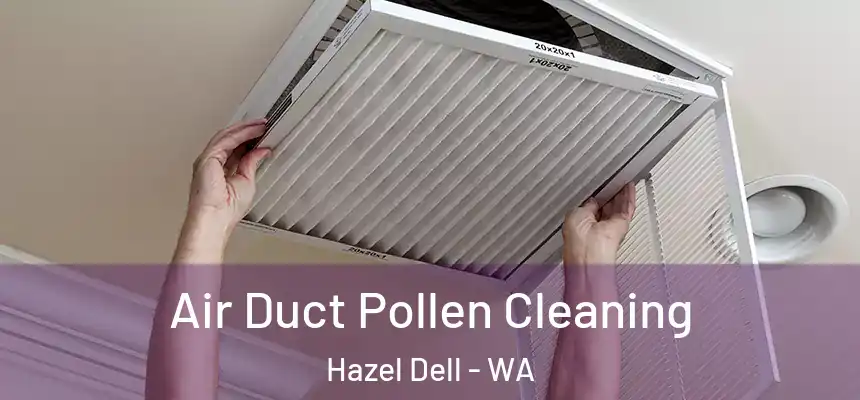  Air Duct Pollen Cleaning Hazel Dell - WA