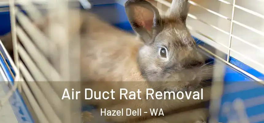 Air Duct Rat Removal Hazel Dell - WA
