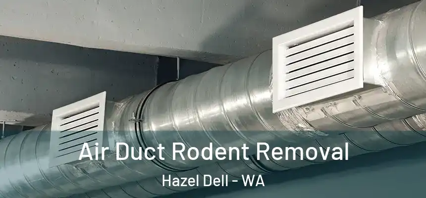  Air Duct Rodent Removal Hazel Dell - WA