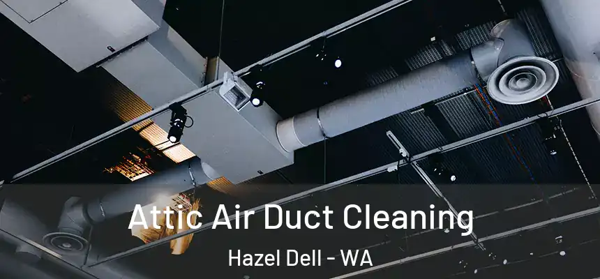 Attic Air Duct Cleaning Hazel Dell - WA