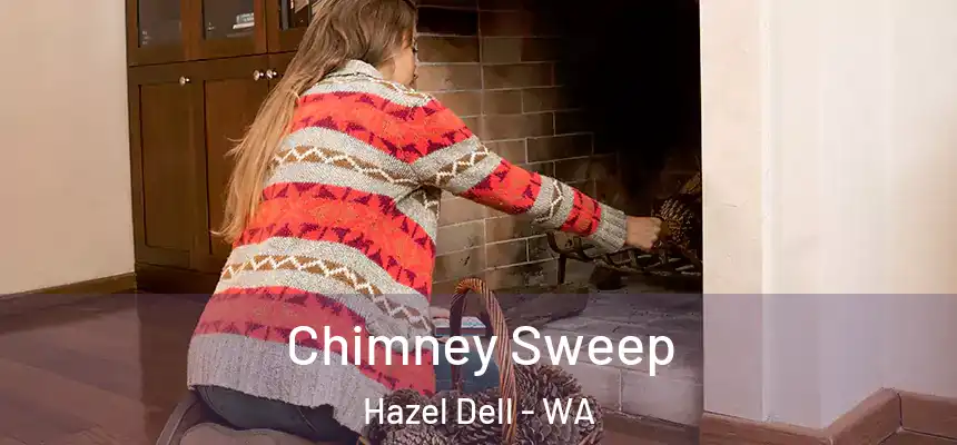  Chimney Sweep Hazel Dell - WA