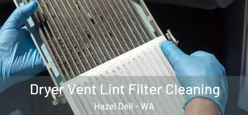  Dryer Vent Lint Filter Cleaning Hazel Dell - WA