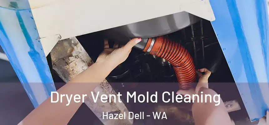  Dryer Vent Mold Cleaning Hazel Dell - WA