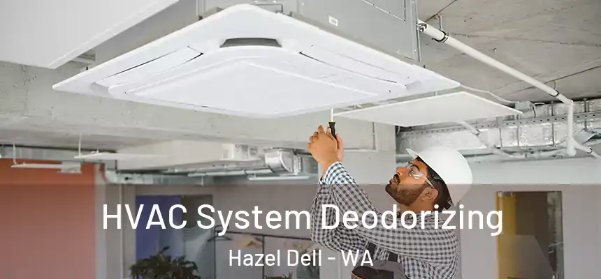  HVAC System Deodorizing Hazel Dell - WA