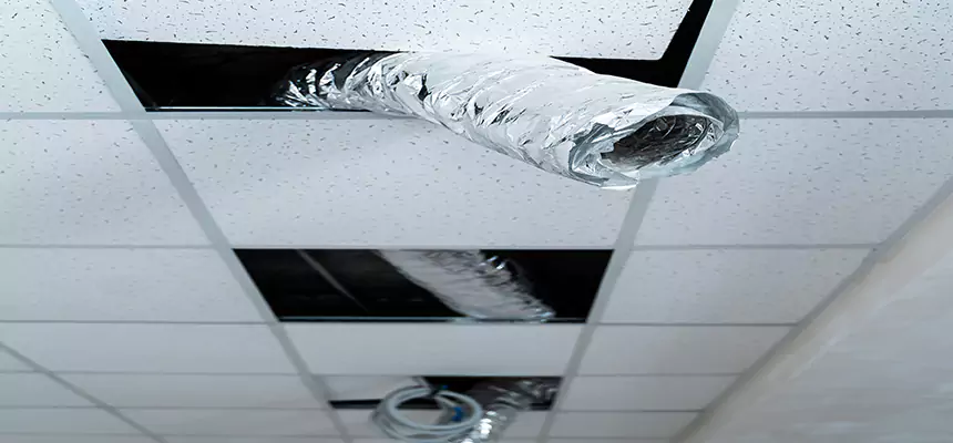 Affordable HVAC Sanitizing After Pest Removal in Hazel Dell