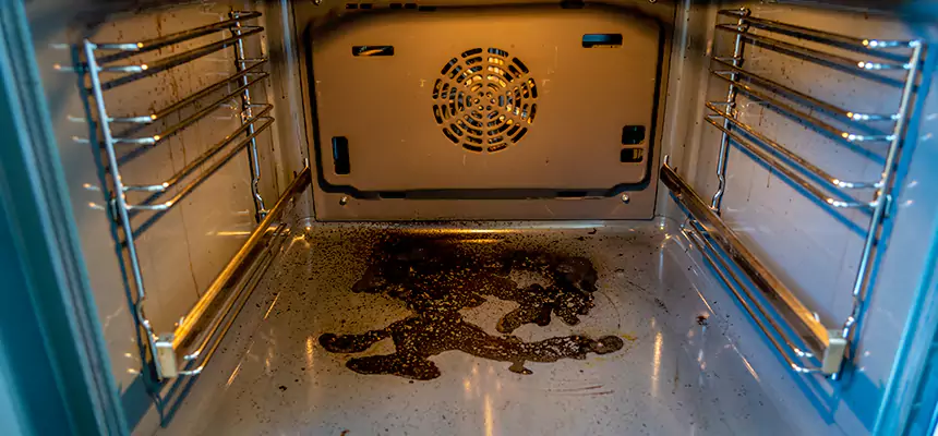 Our Dryer Vent Mold Cleaning Services in Hazel Dell, WA