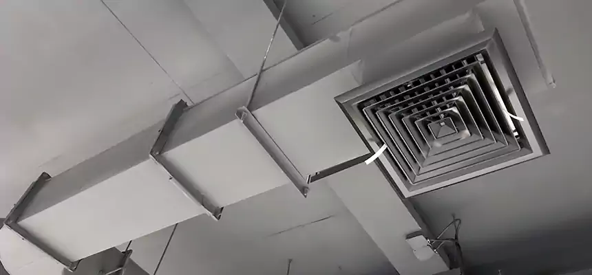 Our Pest Removal From Ducts Services in Hazel Dell, WA