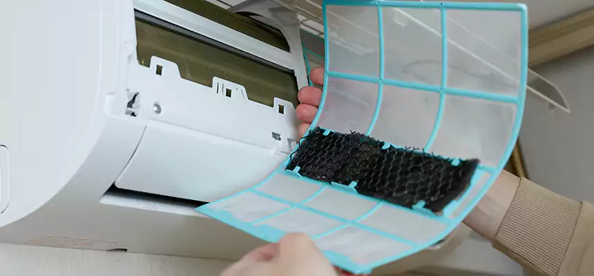 Gentle Ductwork Odor-Control Pet Dander Duct Cleaning in Hazel Dell, WA