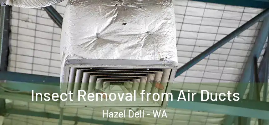  Insect Removal from Air Ducts Hazel Dell - WA