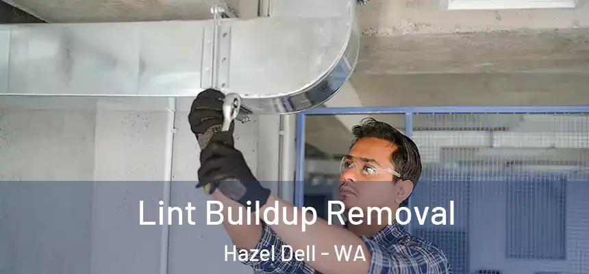 Lint Buildup Removal Hazel Dell - WA