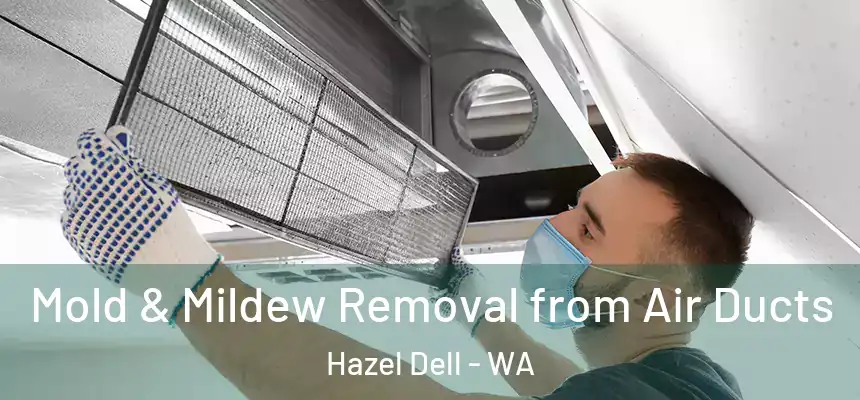 Mold & Mildew Removal from Air Ducts Hazel Dell - WA