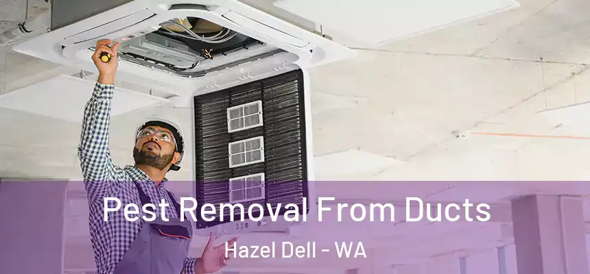  Pest Removal From Ducts Hazel Dell - WA