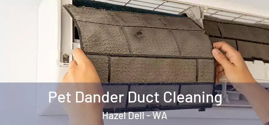  Pet Dander Duct Cleaning Hazel Dell - WA