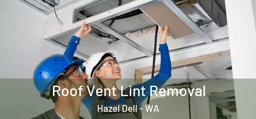  Roof Vent Lint Removal Hazel Dell - WA