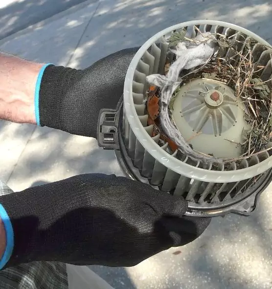 About Air Duct Rat Removal in Hazel Dell, WA