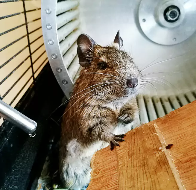 Why Homeowners & Businesses Trust Us Hazel Dell, WA?