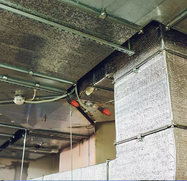 Why Homeowners & Businesses Trust Us Hazel Dell, WA?